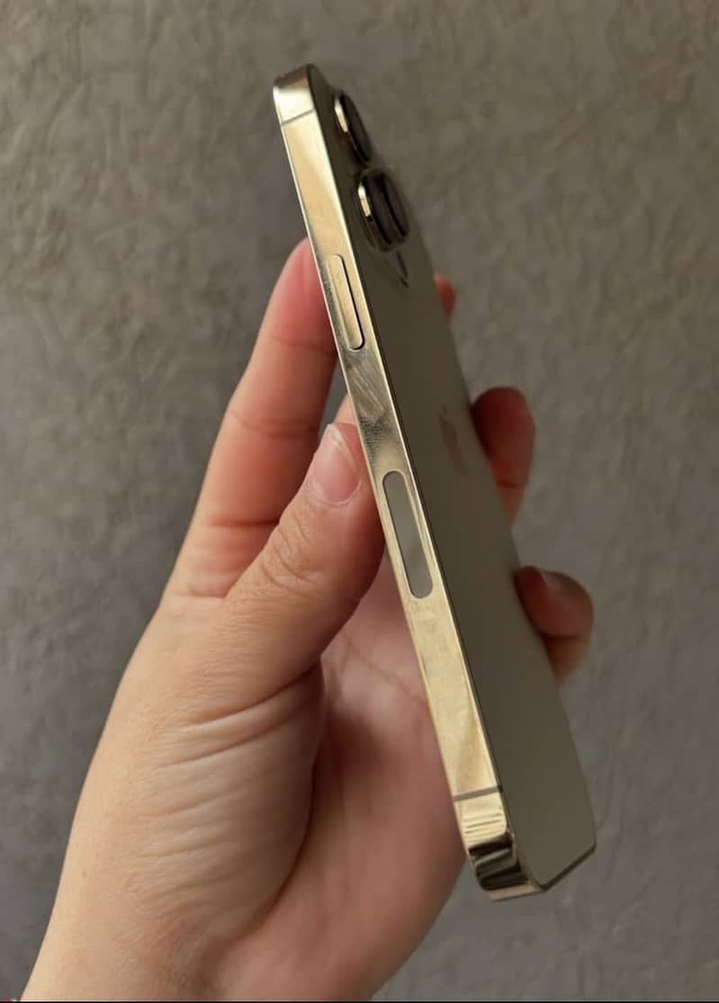 Apple iPhone 13 Pro 2