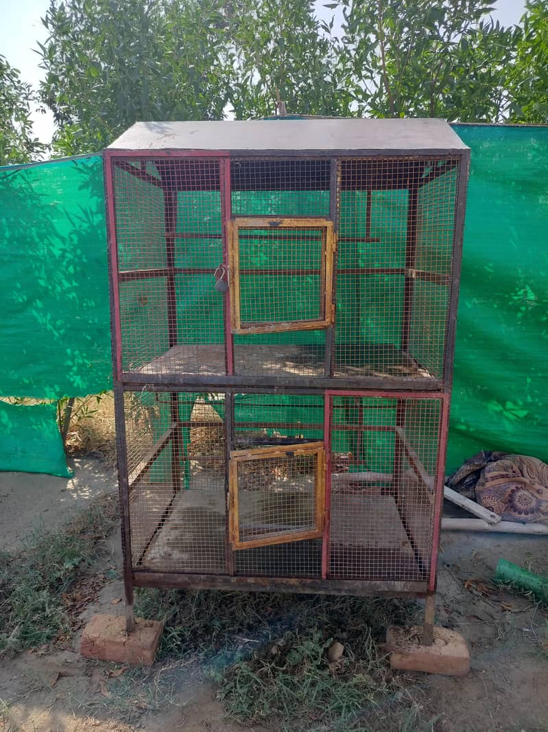 iron cage double portion 0