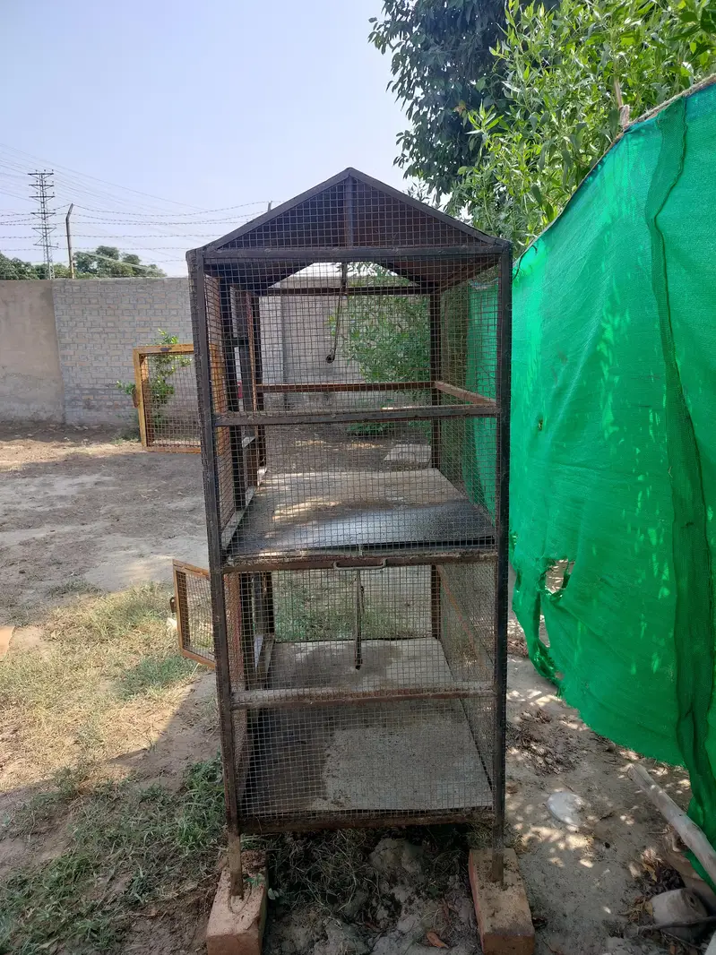 iron cage double portion — photo 3