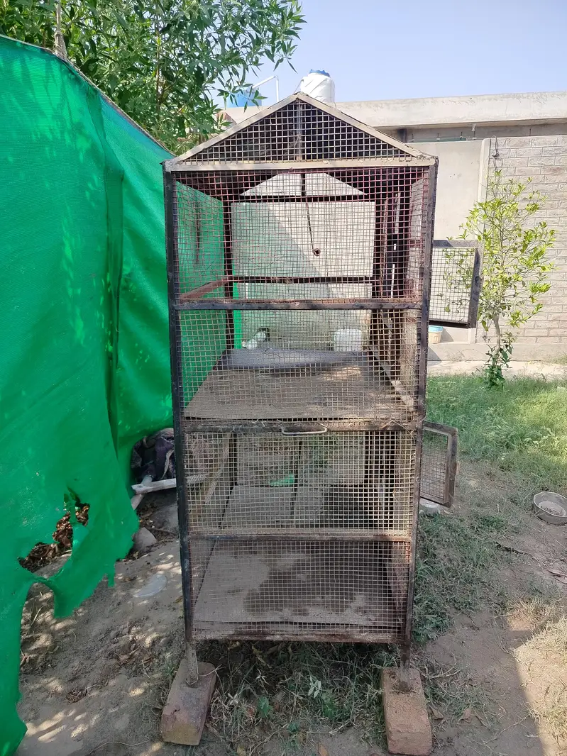 iron cage double portion — photo 4