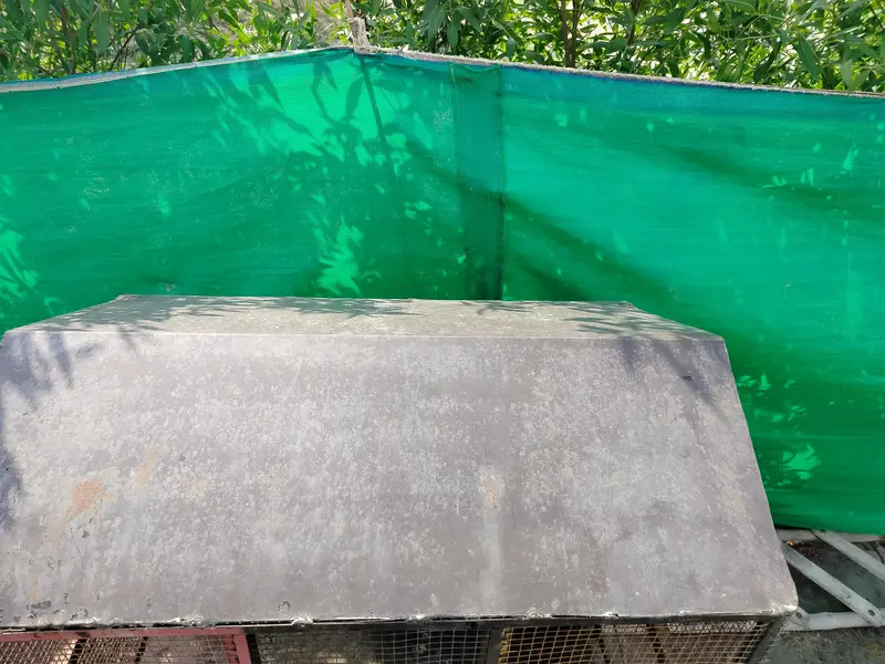 iron cage double portion — photo 6