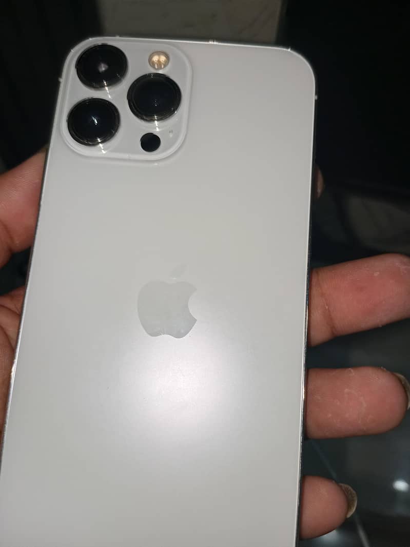 Apple iPhone 13 0