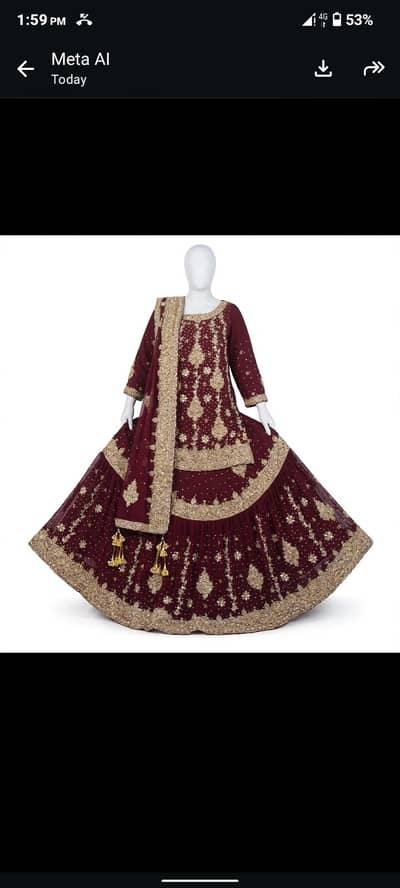 Bridal Dress Dark Mahroon