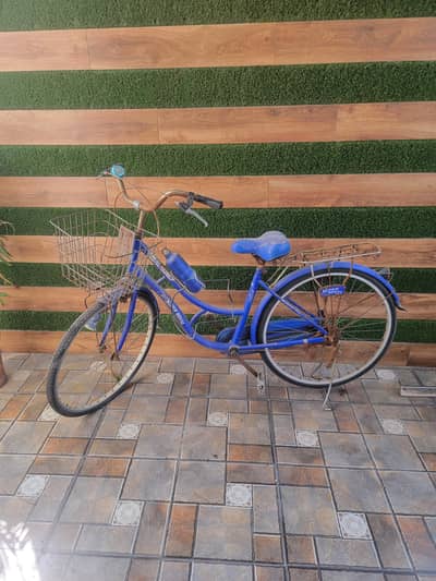 girls by cycle