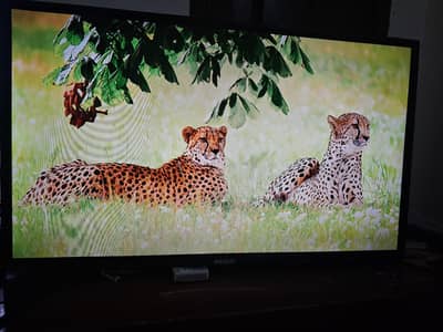 orient orginal  led tv simple 32  inch 03448502692