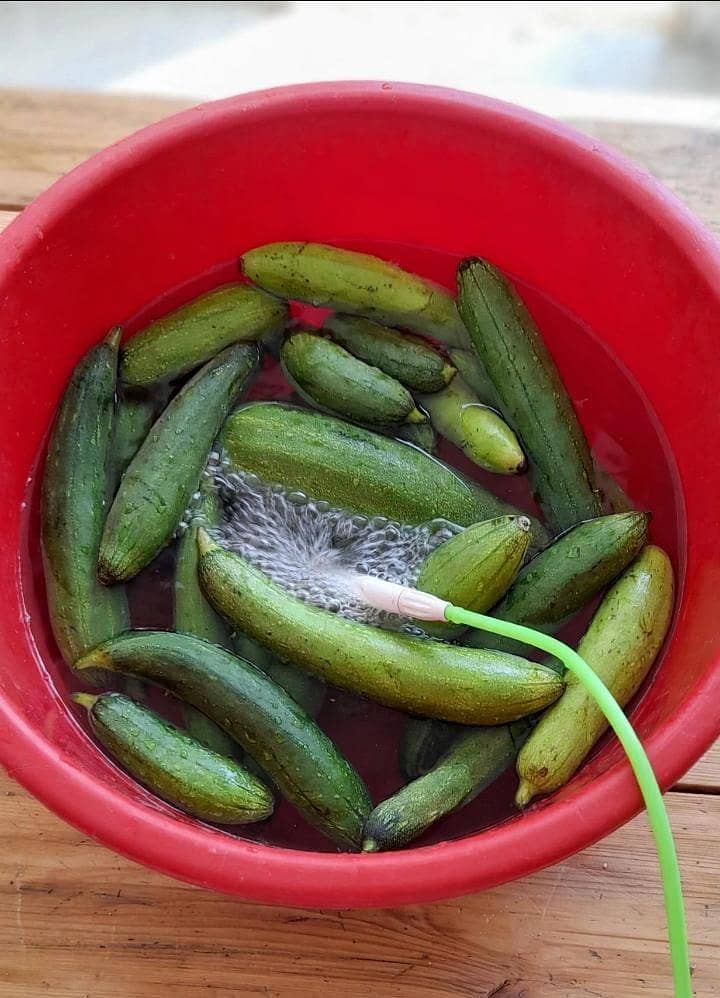 DiCHO Fruit & Vegetable Cleaner 4
