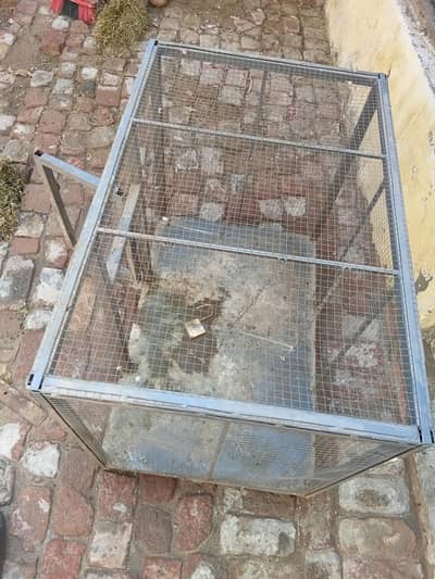 Heavy Duty Iron Cage with Iron Sheet Floor”