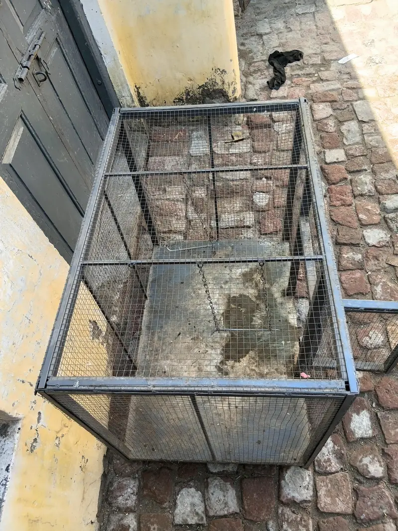 Heavy Duty Iron Cage with Iron Sheet Floor” — photo 3