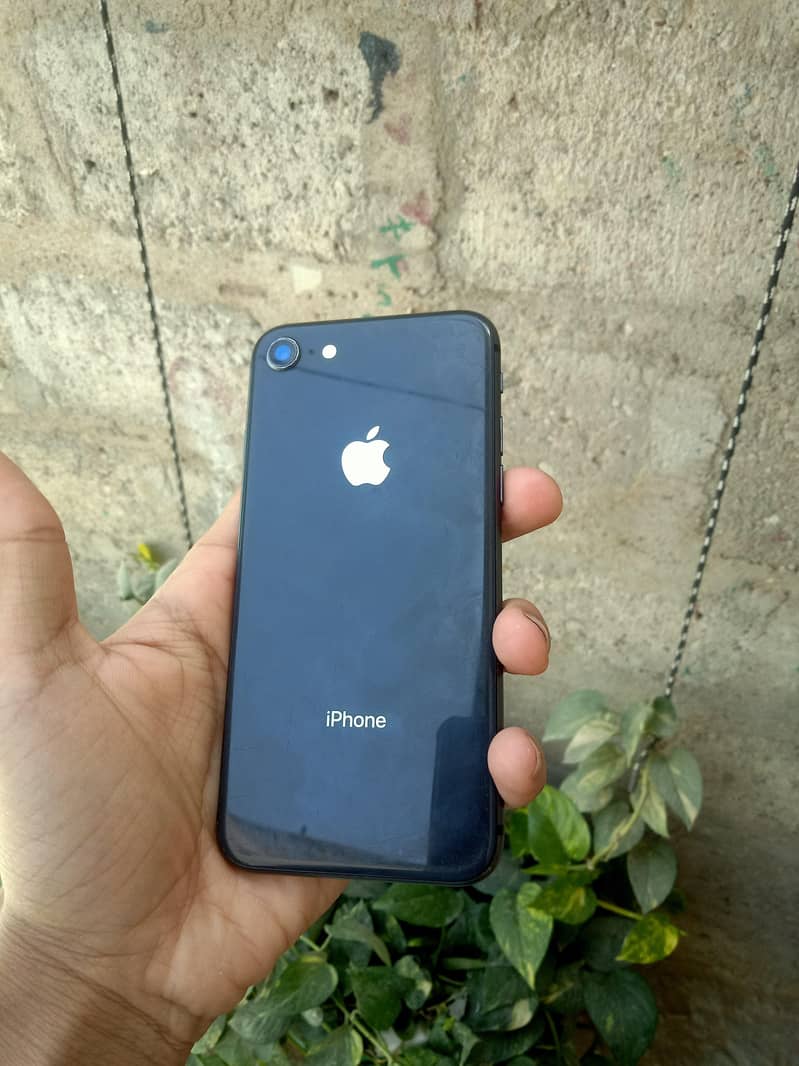 Apple iPhone 8 0