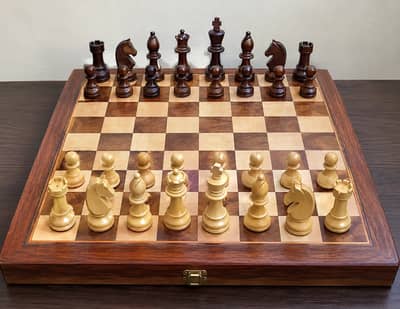 mega sale of cheese and carrom coins mega sale big deal