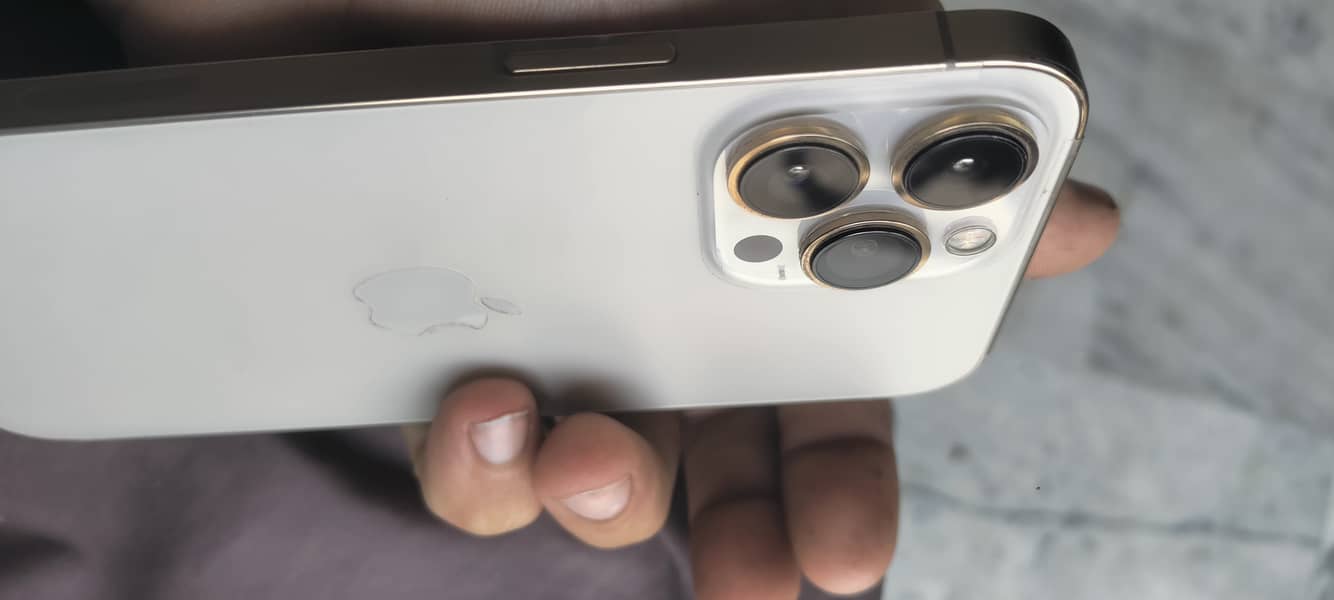 Apple iPhone 13 Pro Max 0
