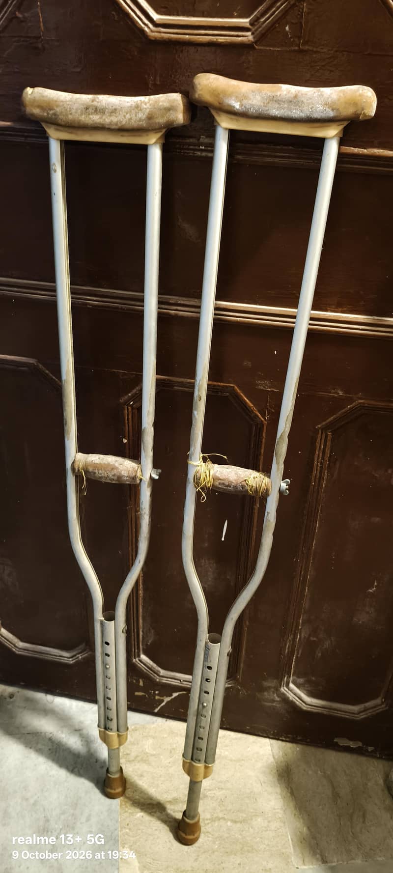 walking sticks 0