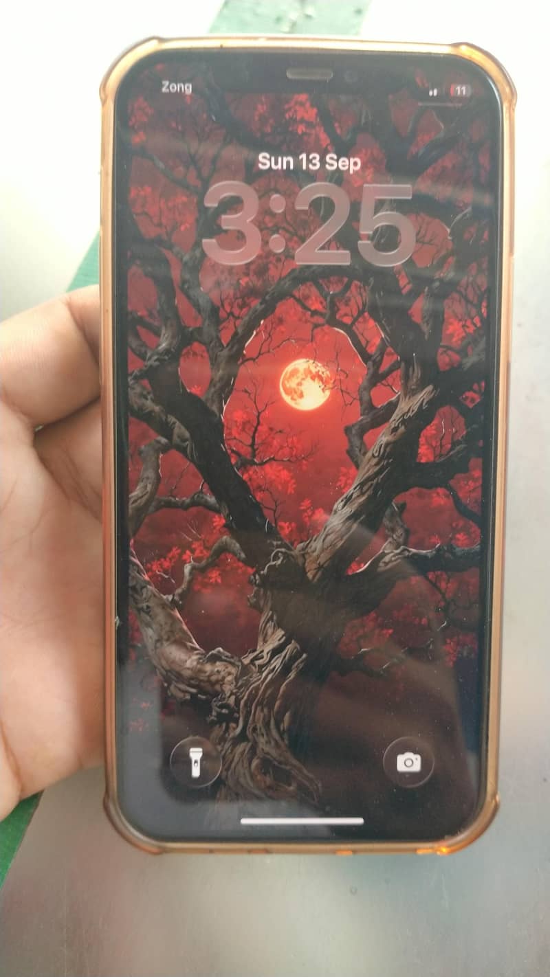 Apple iPhone 12 Pro 2