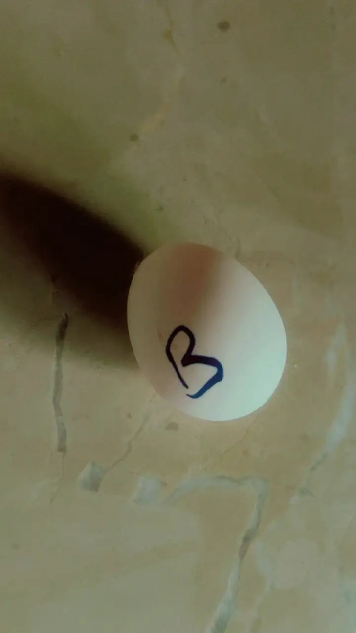 Eggs Fancy Hens — photo 2
