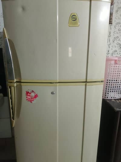 PEL Refrigerator Large Size