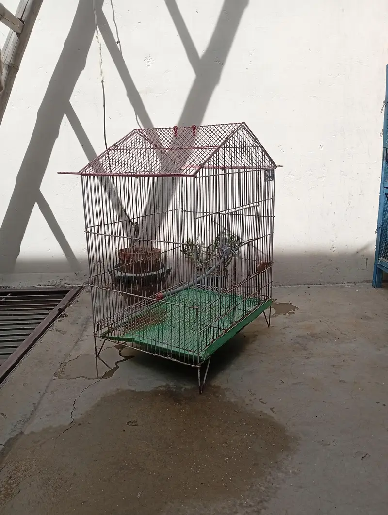 final price . . 3000 — photo 2