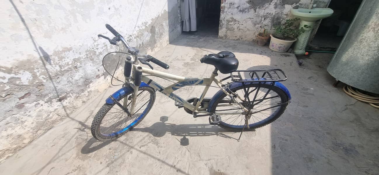 mountain bicycle 1