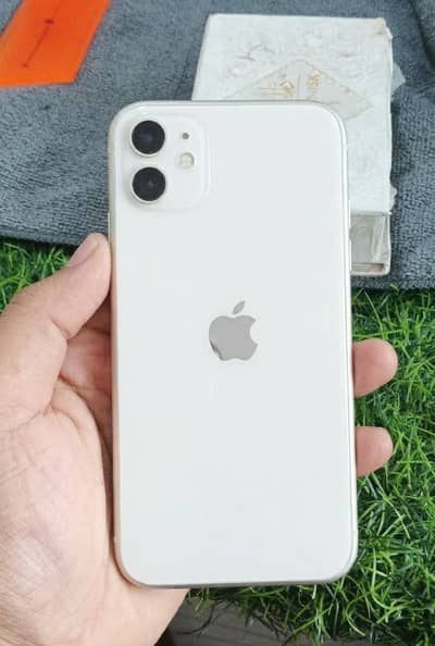 iPhone 11 PTA proved