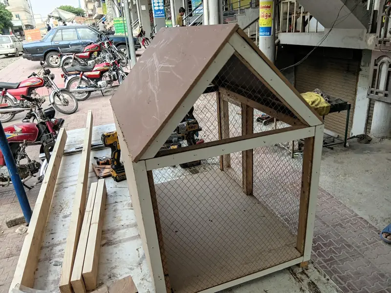 Cage for Birds and Other (wooden) Hens and chicks, strong. — photo 4