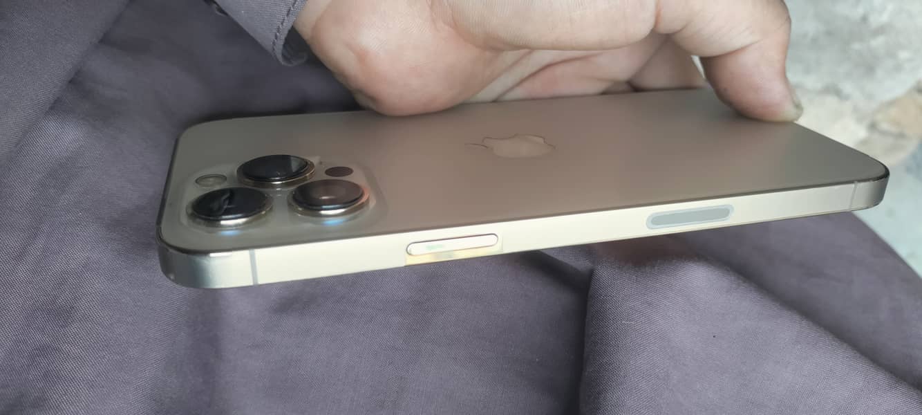 Apple iPhone 13 Pro Max 1