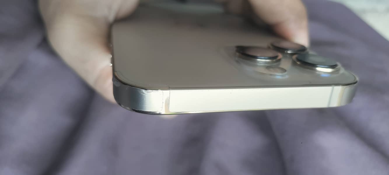 Apple iPhone 13 Pro Max 2