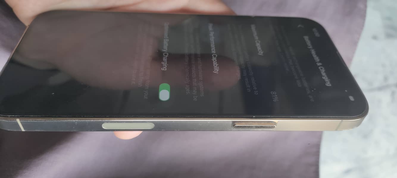 Apple iPhone 13 Pro Max 4
