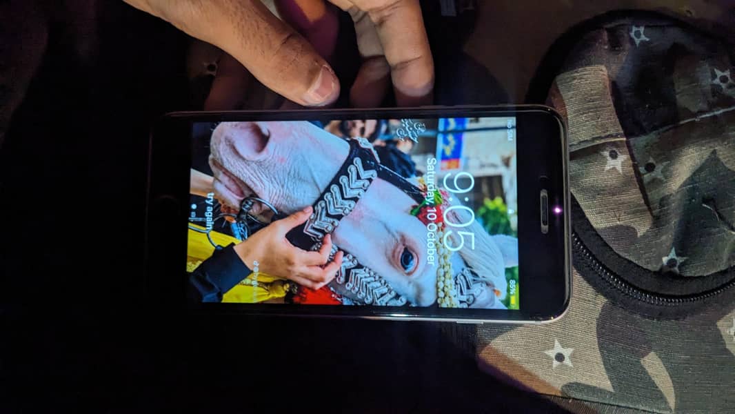 Apple iPhone 6 Plus 1