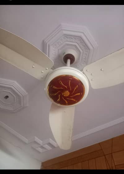 Tamoor 30w fan,  Eco 787