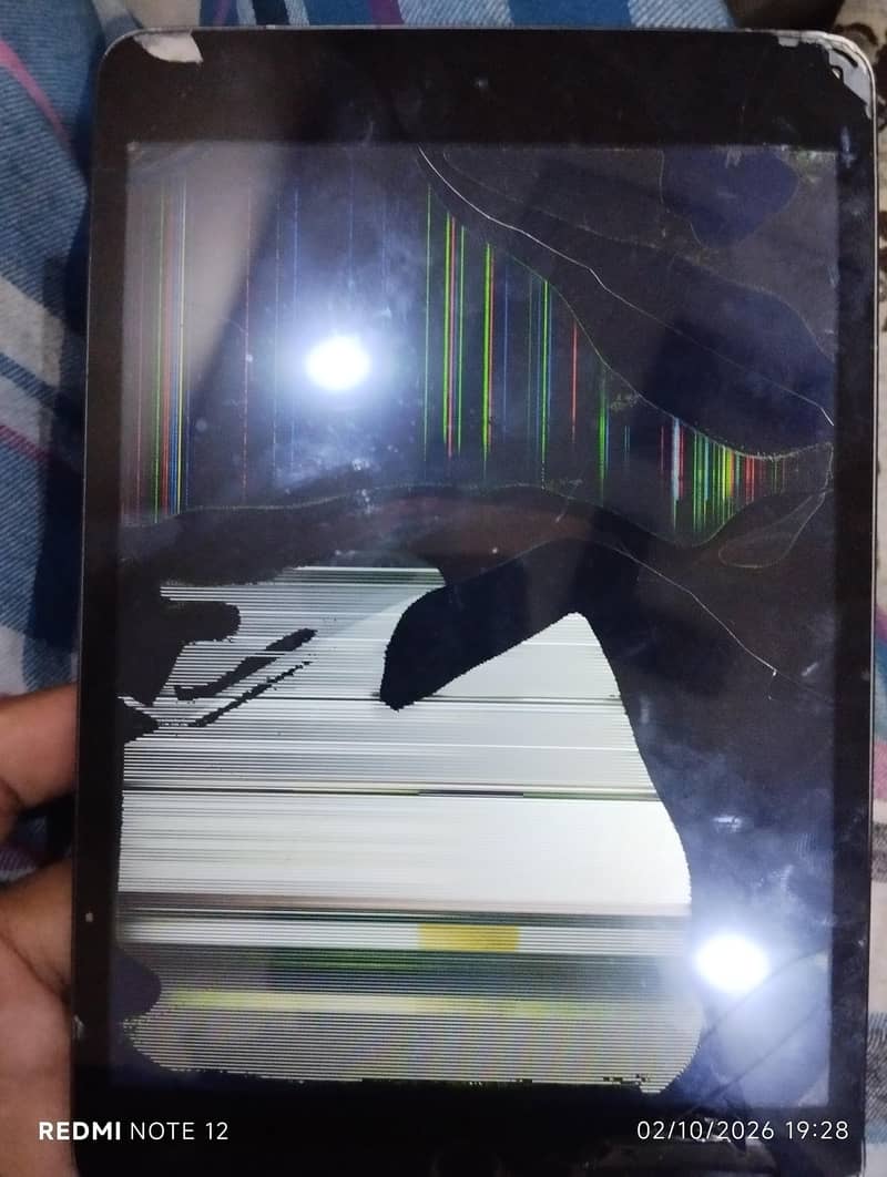 Apple iPad mini 5 5