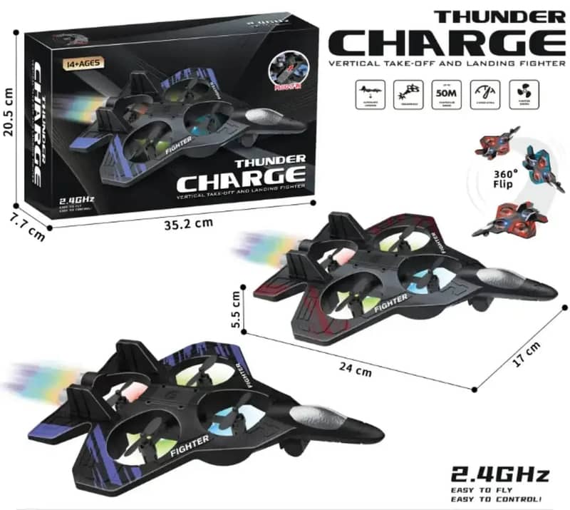 Thunder RC Plane 1