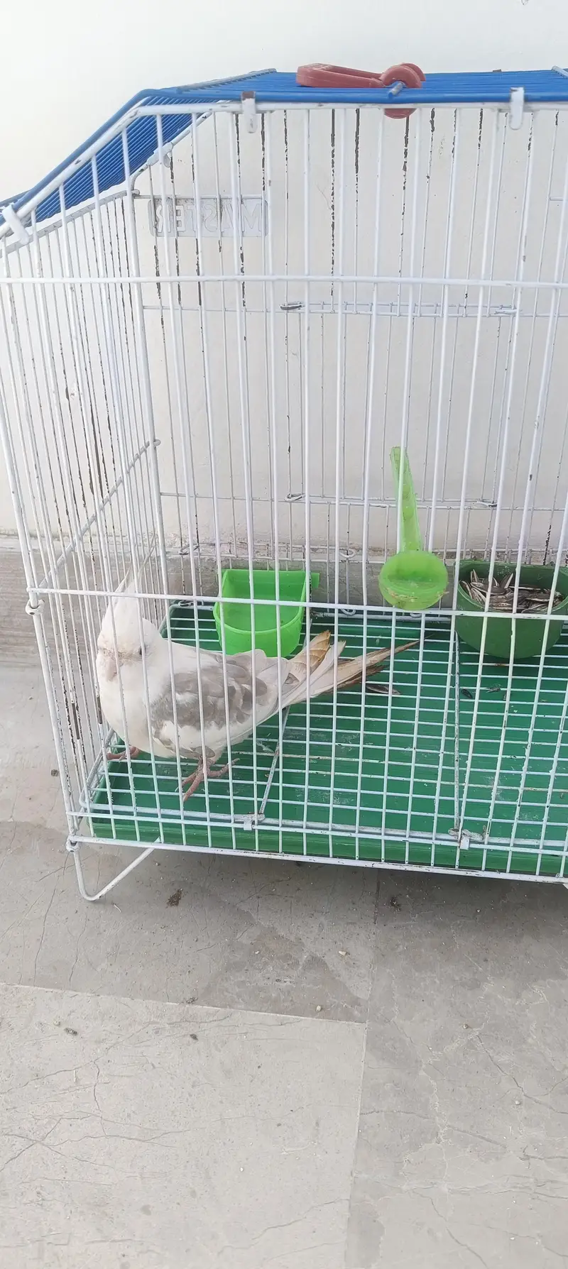 Cocktail Fellow — photo 2