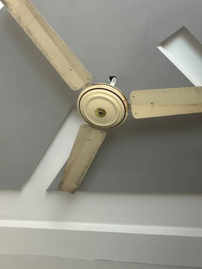 Premium Ceiling Fan – Stylish Design | Powerful Airflow | Best Price