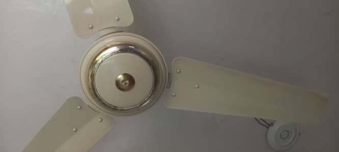 Full size celling fan look like new
