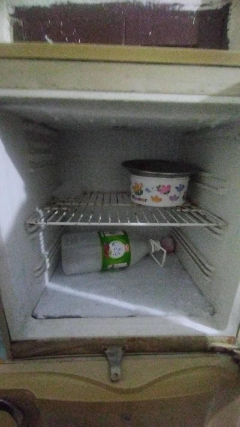 pel fridge 1