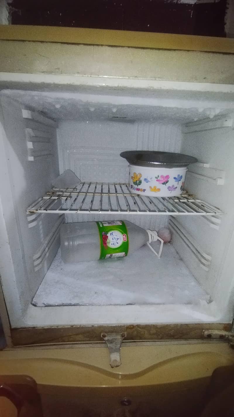 pel fridge 2