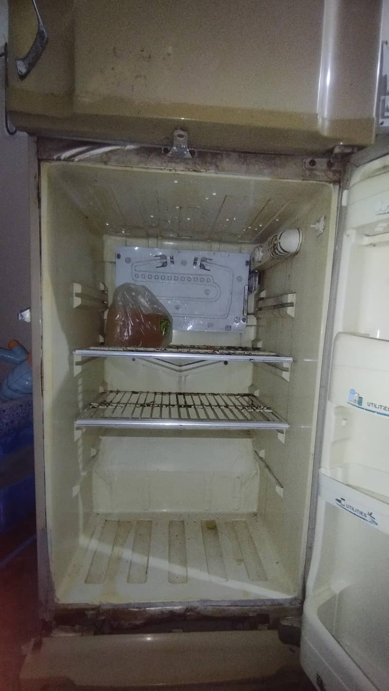 pel fridge 4