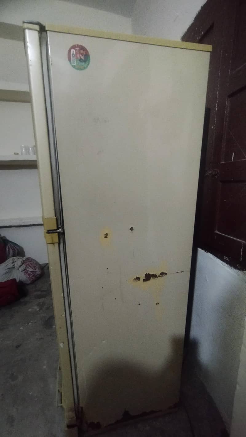 pel fridge 5