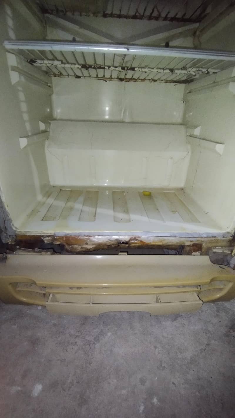 pel fridge 6