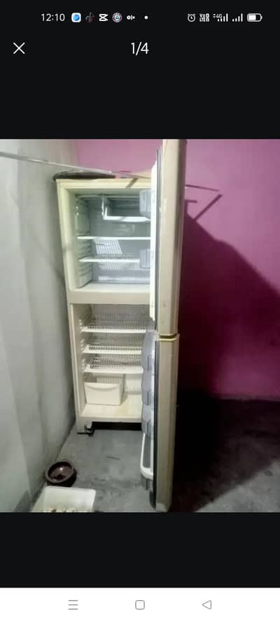 pel Jumbo size