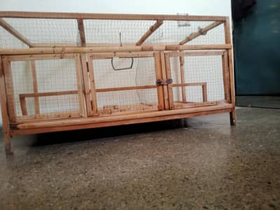 Birds Cage