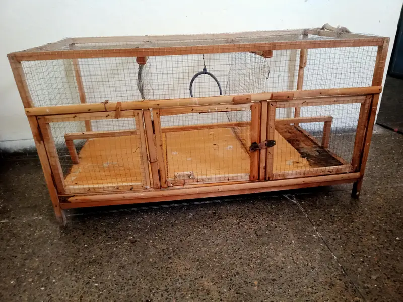Birds Cage — photo 2