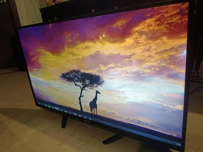 32 inch orient led