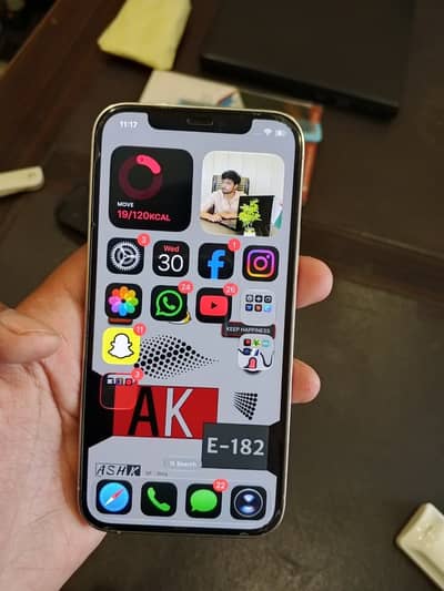 Apple iPhone 12 Pro