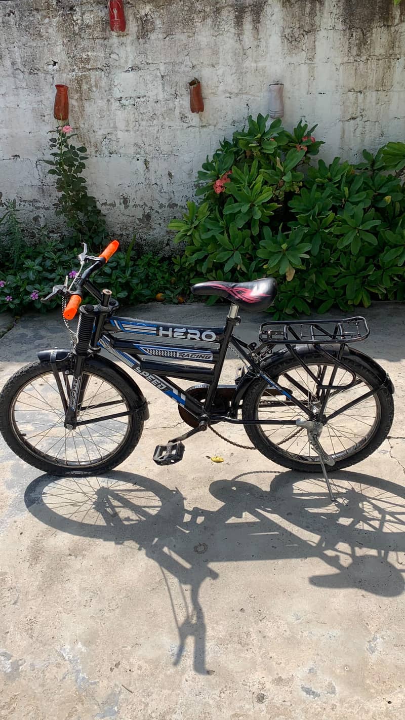 cycle 0