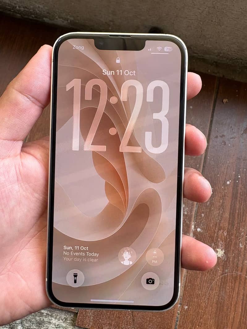 Apple iPhone 13 0