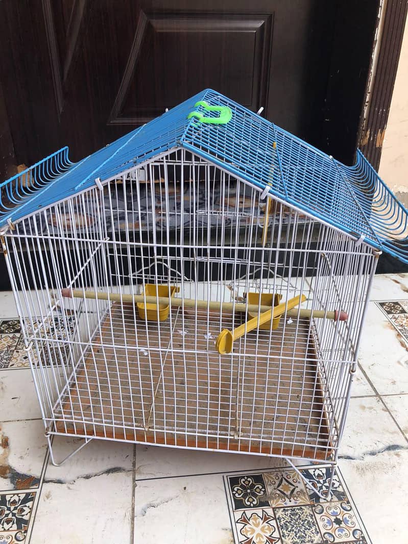 bird cage 0