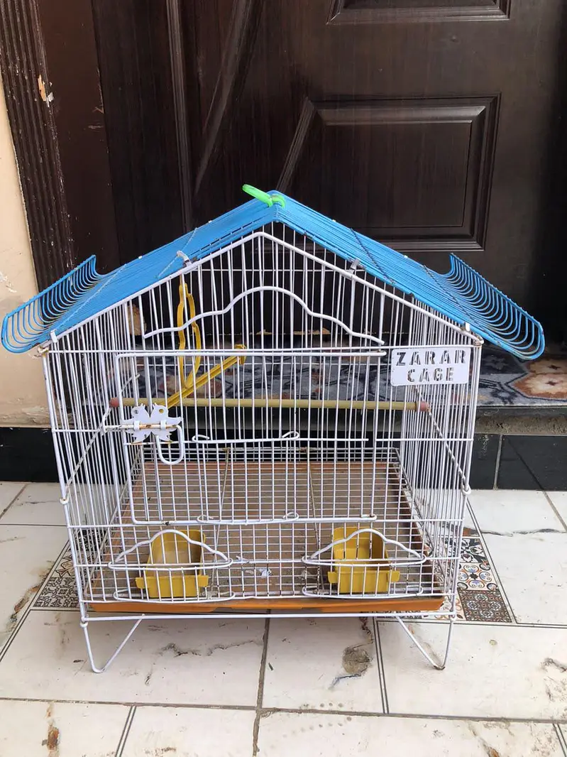 bird cage — photo 2