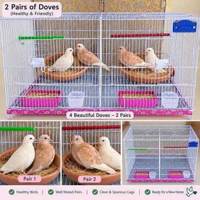 2 Pairs Of Dove