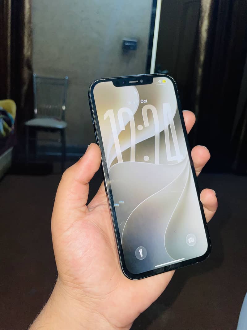 Apple iPhone 12 Pro Max 2