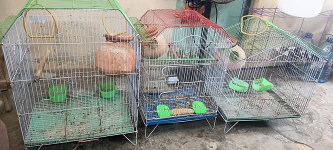 Cage available resonable price, 4000